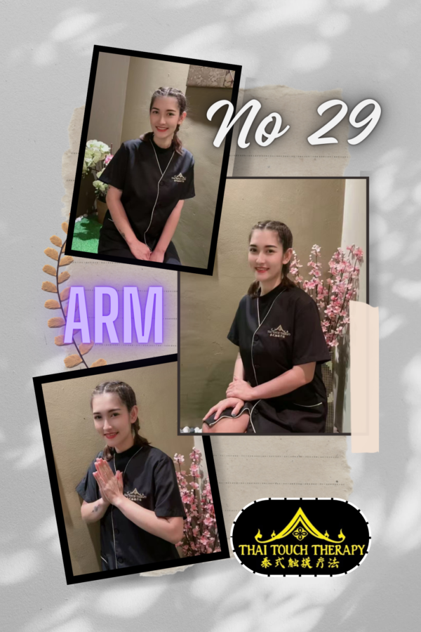 No29 Arm